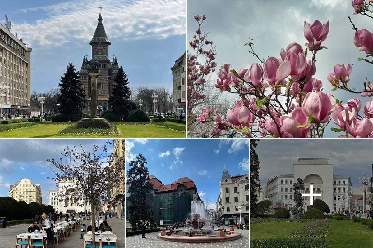 Primăvara în Timișoara | 15 martie 2024